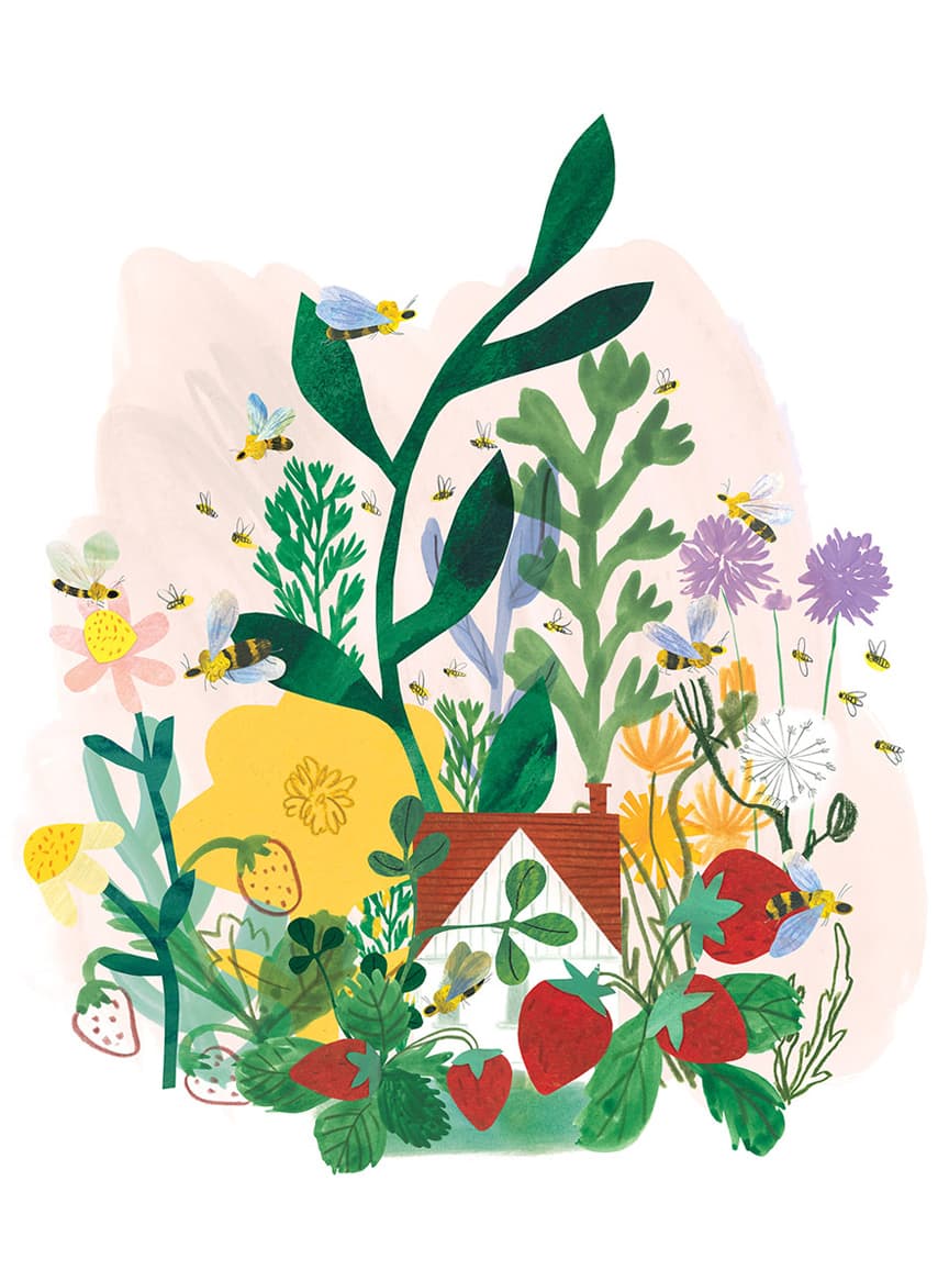 Reine Melliféra et la vie des abeilles, illustration by Josée Bisaillon (5)
