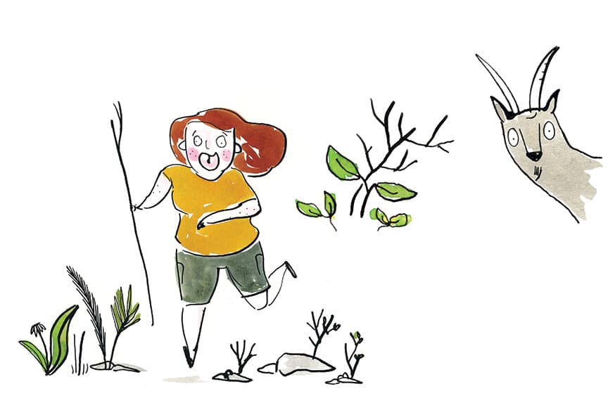 Dans ma cuisine, illustration by Josée Bisaillon (7)