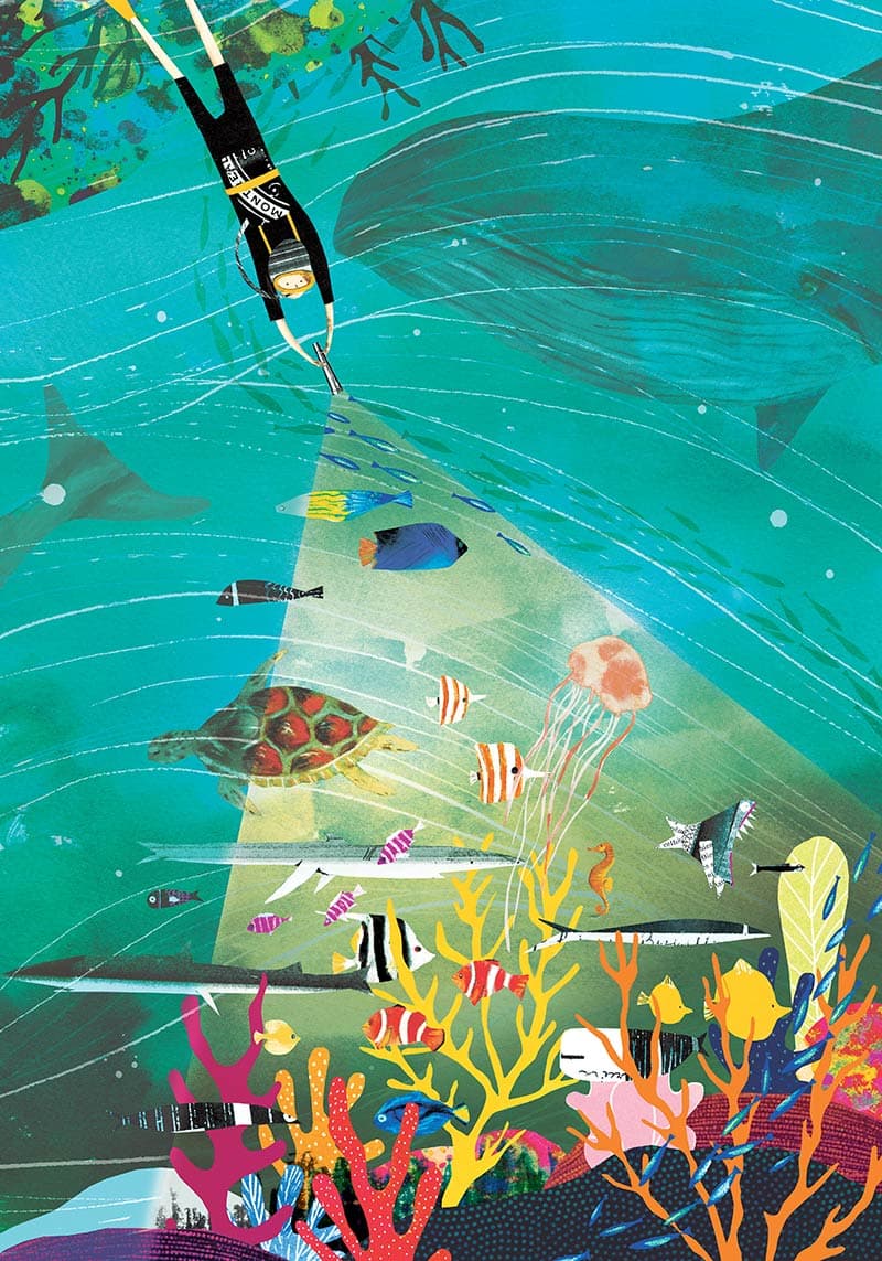 Biodiversity, illustration by Josée Bisaillon (1)